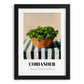 Coriander – on Striped Tablecloth, Fresh Herbs Still Life, in sleek black frame