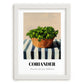 Coriander – on Striped Tablecloth, Fresh Herbs Still Life, placed in minimal white frame