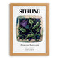 Stirling, Scotland – Travel Print, set in oak frame